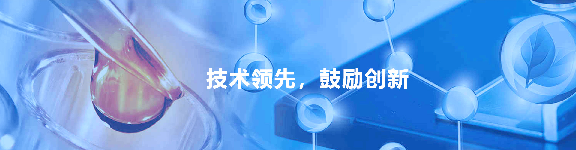 技术领先,鼓励创新